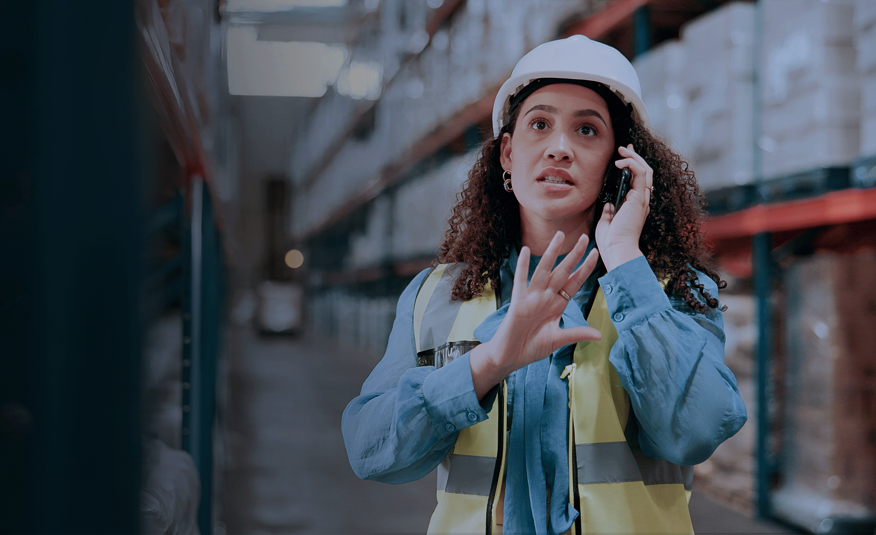 Validaide_FF_Header_V3